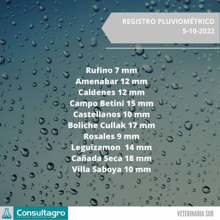 REGIDTRO PLUVIOMETRICO ZONAL