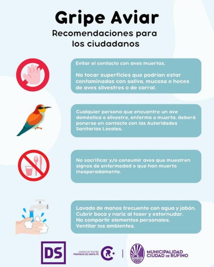 GRIPE AVIAR
