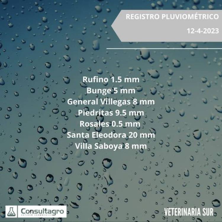 REGISTRO PLUVIOMETRICO