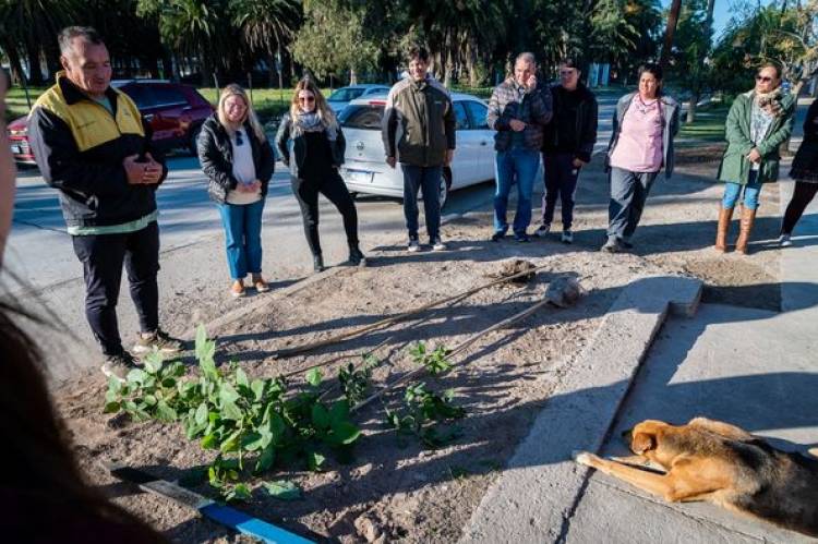 PROYECTO DEL ECOCLUB DEL SUPERIOR N| 50 "UNION PROTECTORA DEL PLANETA" Y CIAD