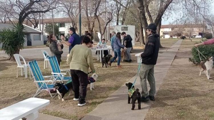 NUEVA JORNADA DE CASTRACION