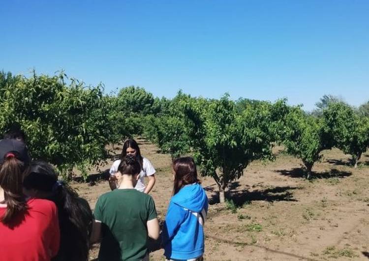 ALUMNOS DE ESCUELA N° 335 VIAJARON A LAZZARINO 