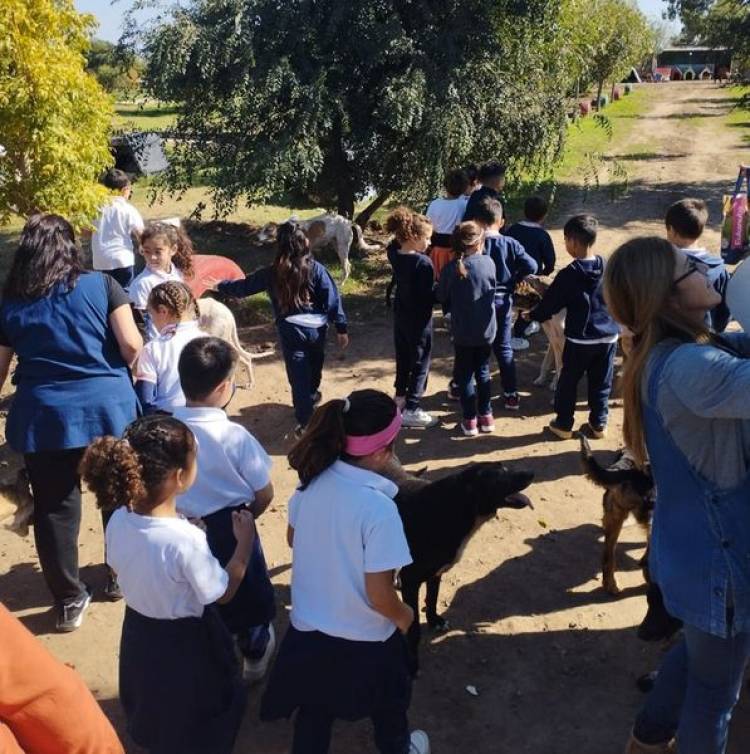 DIA DEL ANIMAL EN EL REFUGIO