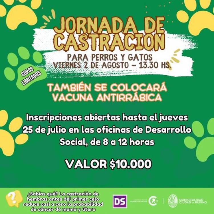 CASTRACIONES PARA PERROS Y GASTOS