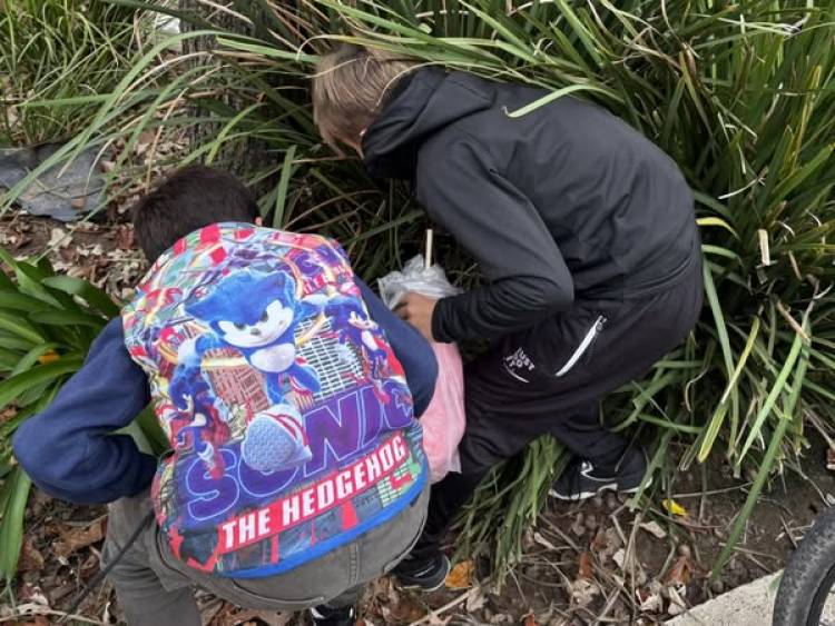 FELICES PASCUAS...!!!