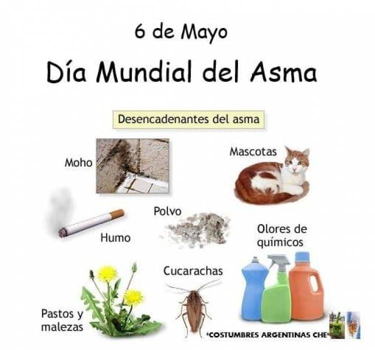 DIA MUNDIAL DEL ASMA