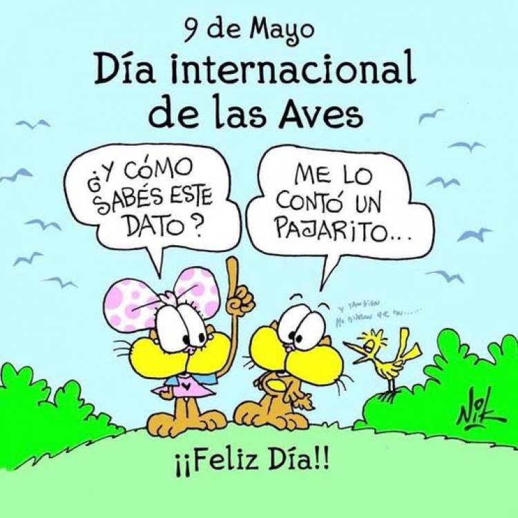 9 DE MAYO: DIA INTERNACIONAL DE LAS AVES