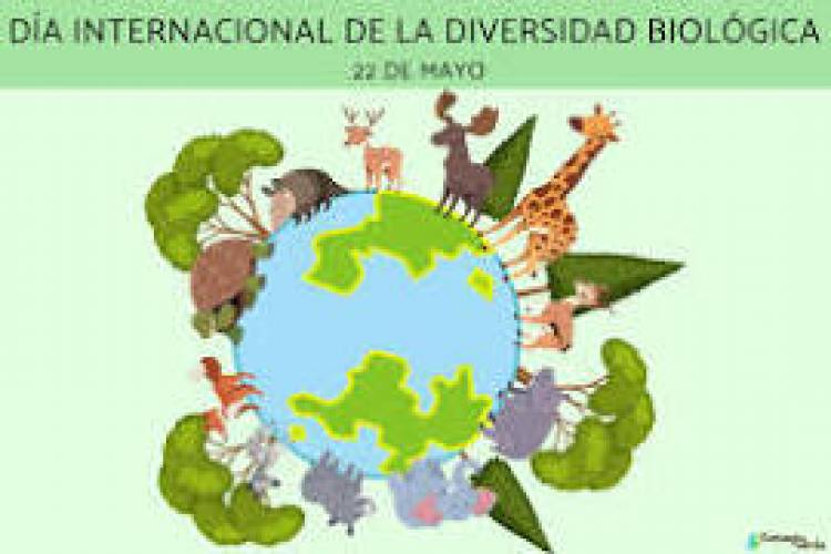 22 DE MAYO: DIA DE LA DIVERSIDAD BIOLOGICA