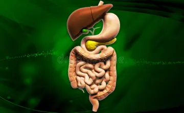 29 DE MAYO: DIA MUNDIAL DE LA SALUD DIGESTIVA