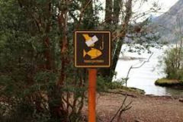 5 DE JUNIO: DIA INTERNACIONAL DE LA PESCA ILEGAL
