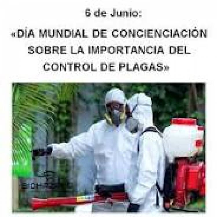 6 DE JUNIO: DIA MUNDIAL DE LA CONCIENCIA  SOBRE EL CONTROL DE PLAGAS