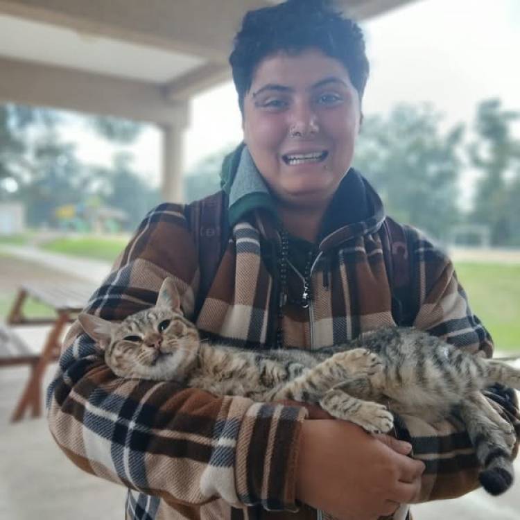 DOS NUEVAS JORNADAS DE CASTRACIONES