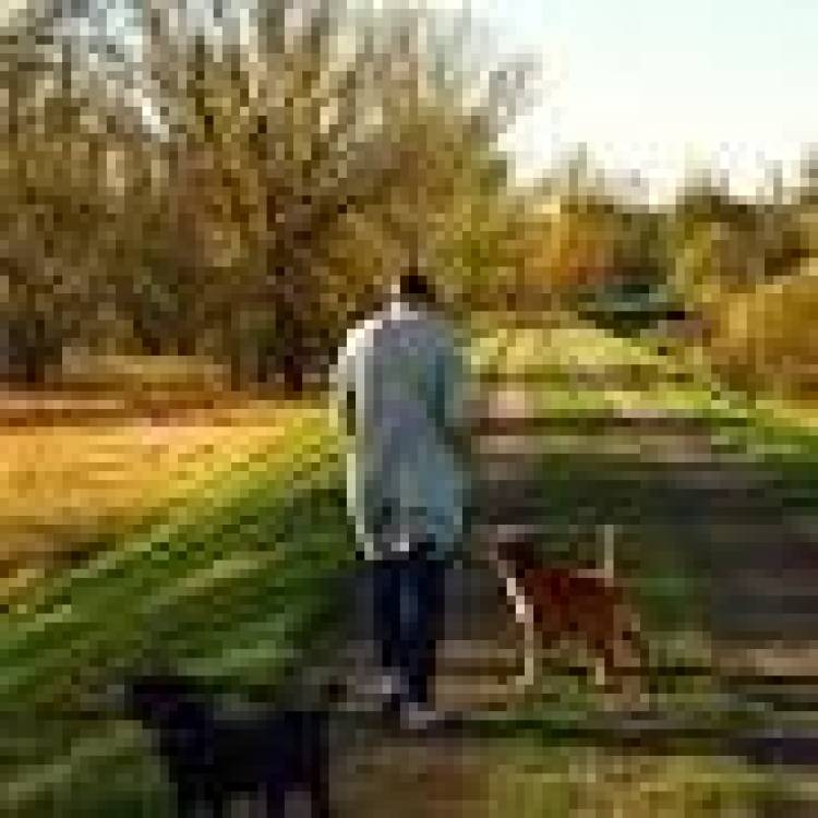 19 DE JUNIO: DIA INTERNACIONAL DEL PASEO