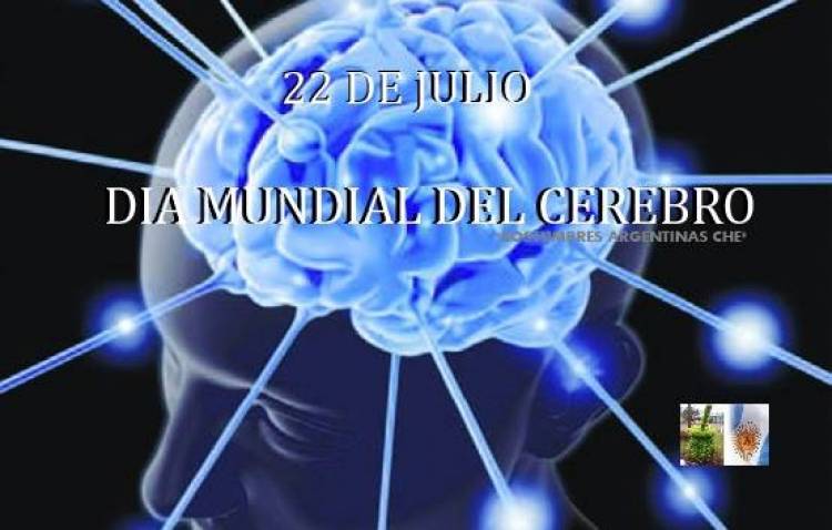22 DE JULIO: DIA MUNDIAL DEL CEREBRO
