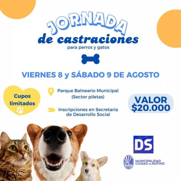 ACORDATE: JORNADA DE CASTRACIONES PARA PERROS Y GATOS