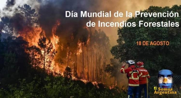 18 DE AGOSTO: DIA MUNDIAL DE LA PREVENCION DE INCENDIOS FORESTALES
