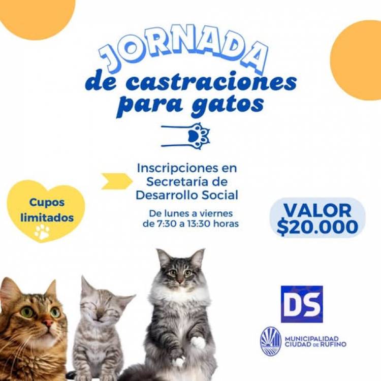 JORNADA DE CASTRACIONES PARA GATOS