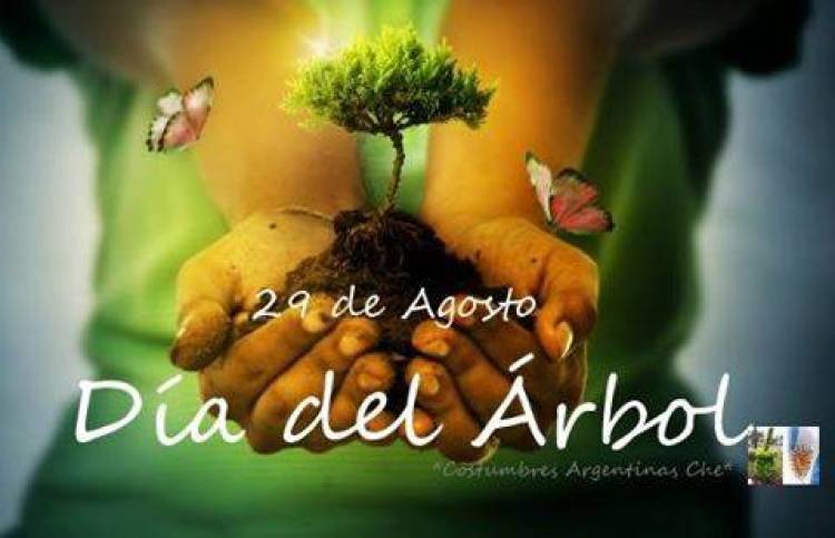 29 DE AGOSTO: DIA DEL ARBOL