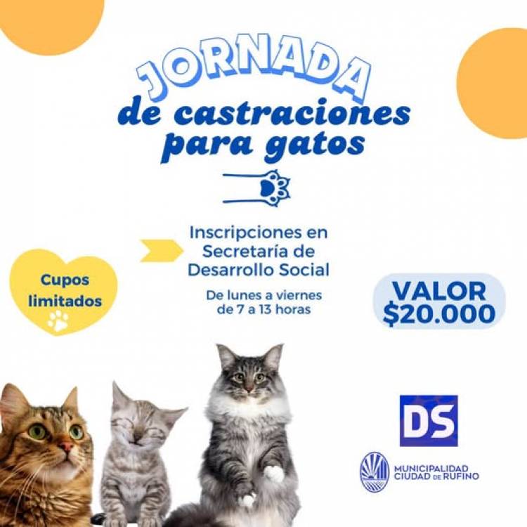 JORNADA DE CASTRACIONES PARA GATOS