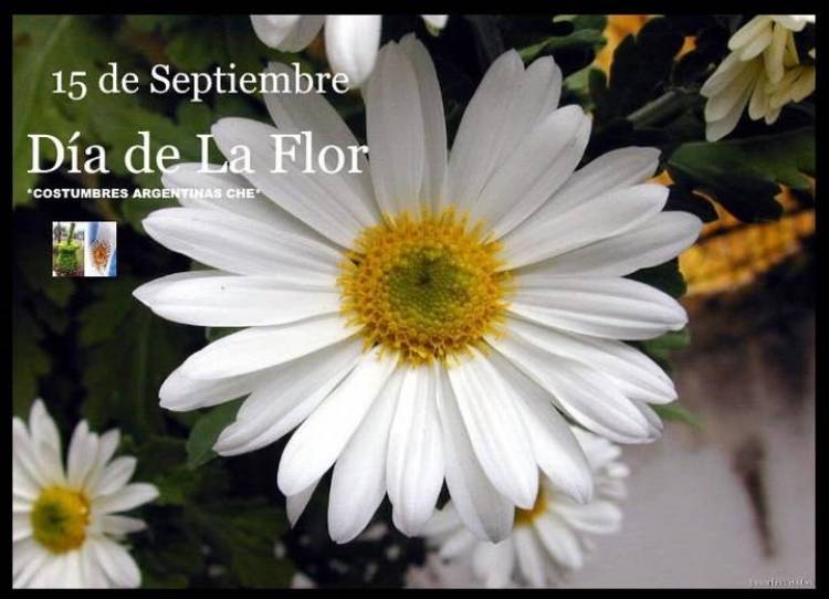 15 DE SETIEMBRE: DIA DE LA FLOR