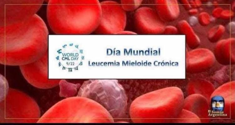 22 DE SETIEMBRE: DIA MUNDIAL CONTRA LA LEUCEMIA MIELOIDE CRONICA
