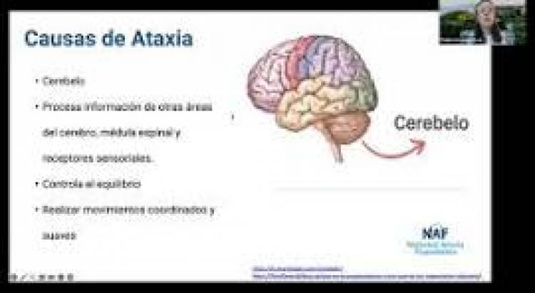 25 DE SETIEMBRE: DIA MUNDIAL DE LA ATAXIA