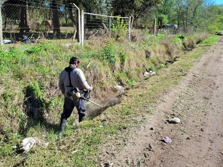 TRABAJOS DE LIMPIEZA EN TODA LA CIUDAD