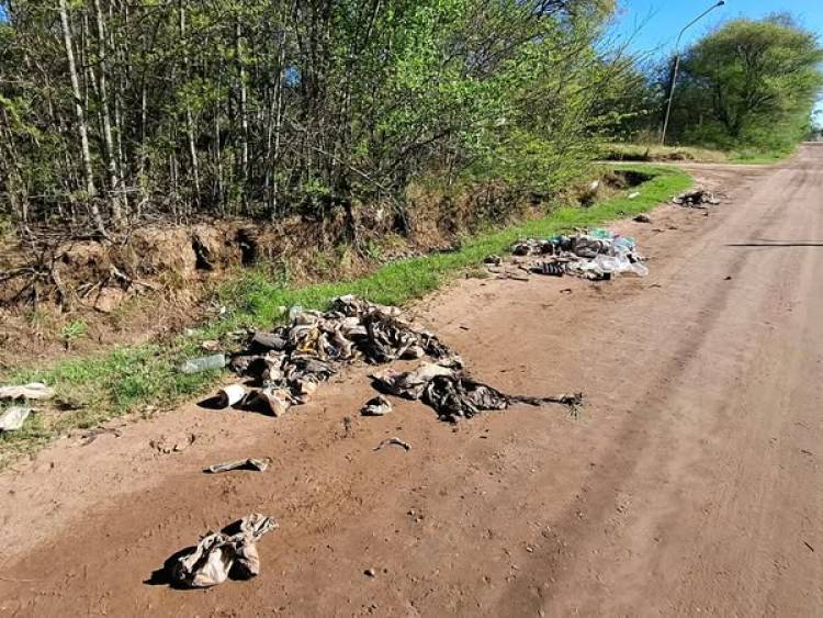 TRABAJOS DE LIMPIEZA EN TODA LA CIUDAD