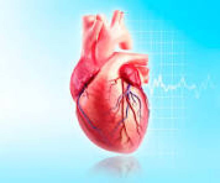 29 DE SETIEMBRE: DIA MUNDIAL DEL CORAZON