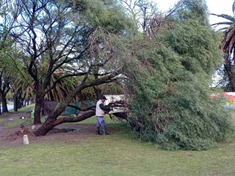 CONSECUENCIAS DE LA TORMENTA