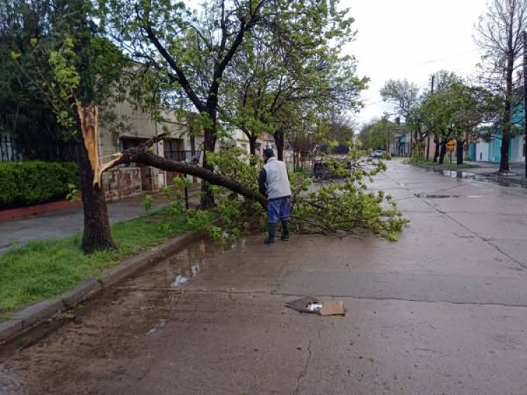 CONSECUENCIAS DE LA TORMENTA