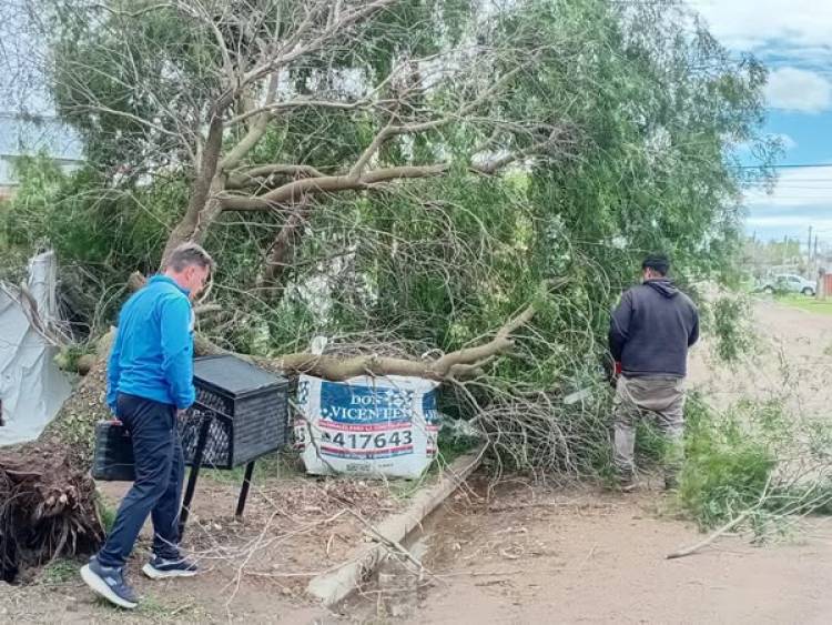 CONSECUENCIAS DE LA TORMENTA