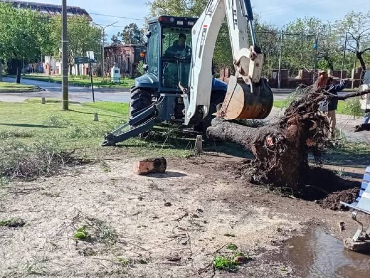 CONSECUENCIAS DE LA TORMENTA
