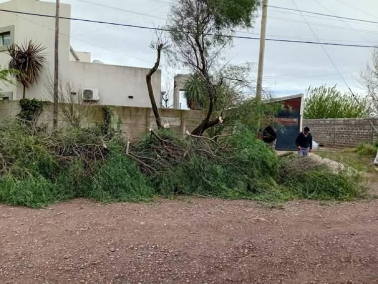 CONSECUENCIAS DE LA TORMENTA