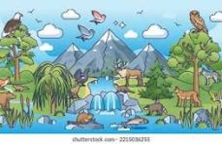 6 DE OCTUBRE: DIA MUNDIAL DEL HABITAT