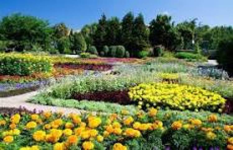 13 DE OCTUBRE: DIA MUNDIAL DE LOS JARDINES BOTANICOS