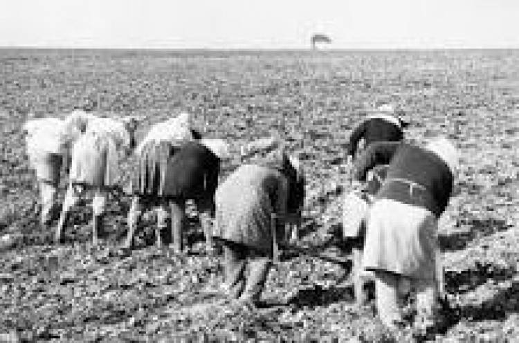 15 DE OCTUBRE: DIA MUNDIAL DE LA MUJER RURAL