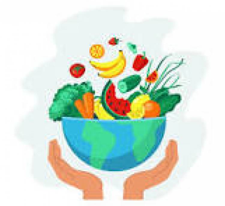 16 DE OCTUBRE: DIA MUNDIAL DE LA ALIMENTACION