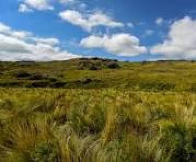 16 DE OCTUBRE: DIA DE "LA PAMPA"