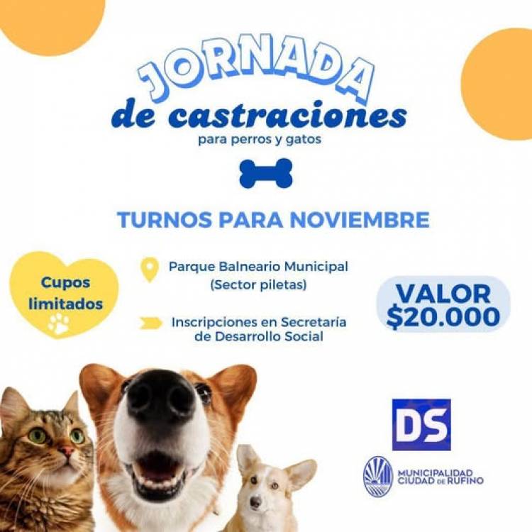 CASTRACIONES PERROS Y GATOS