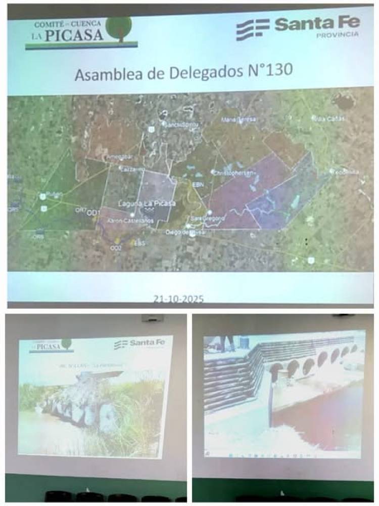 ASAMBLEA DEL COMITE DE CUENCA LA PICASA