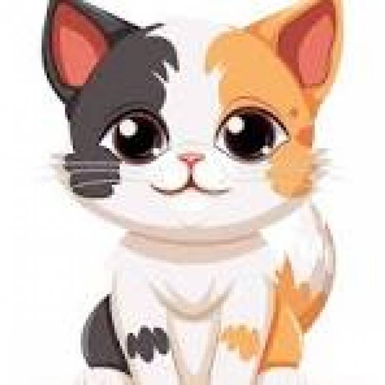 29 DE OCTUBRE: DIA DEL GATO