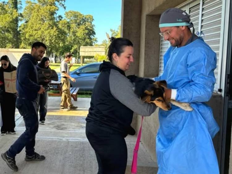 NUEVA JORNADA DE CASTRACION Y VACUNACION