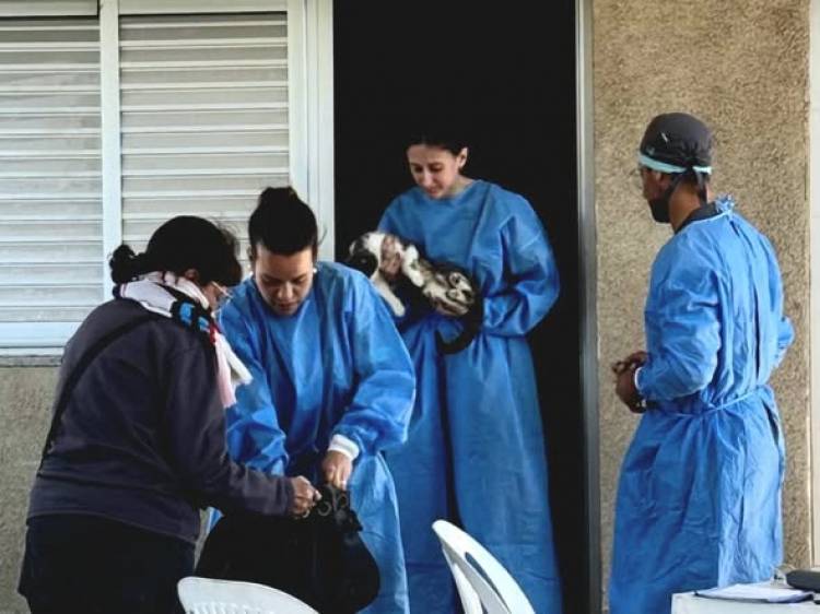 NUEVA JORNADA DE CASTRACION Y VACUNACION