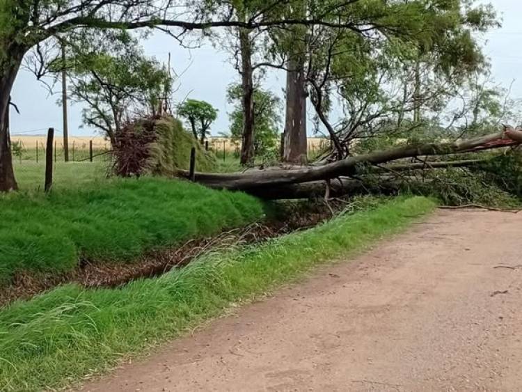 YA SE ENCUENTRA LIBERADO EL CAMINO N° 6