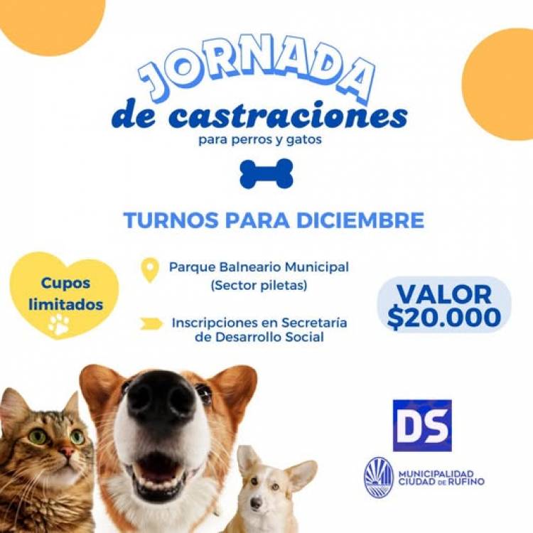 CASTRACIOMES DE PERROS Y GATOS