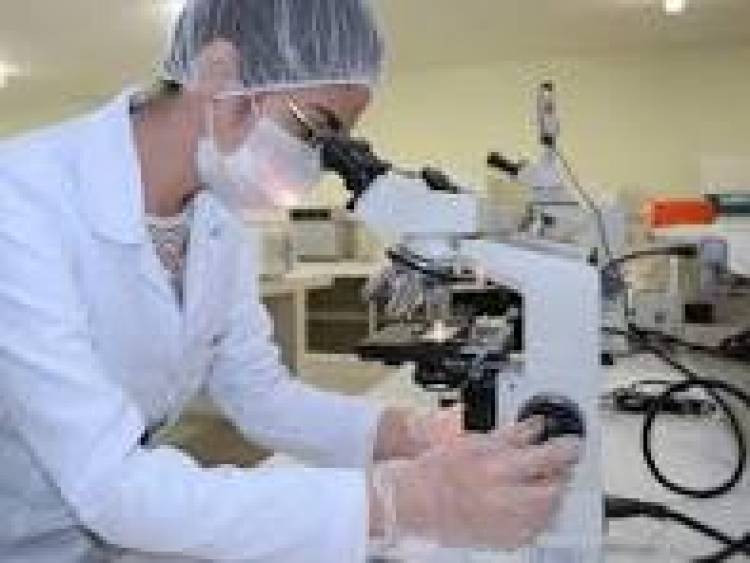 29 DE DICIEMBRE: DIA DEL BROMATOLOGO