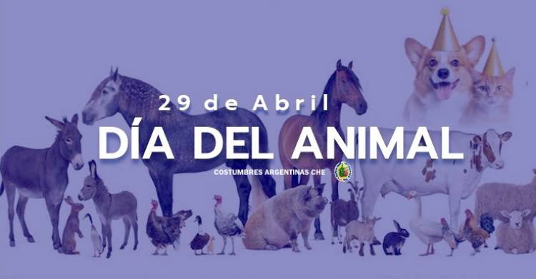 29 DE ABRIL: DIA DEL ANIMAL