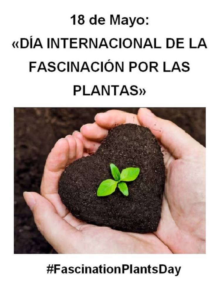 18 DE MAYO: DIA INTERNACIONAL DE LA FASCINACION POR LAS PLANTAS